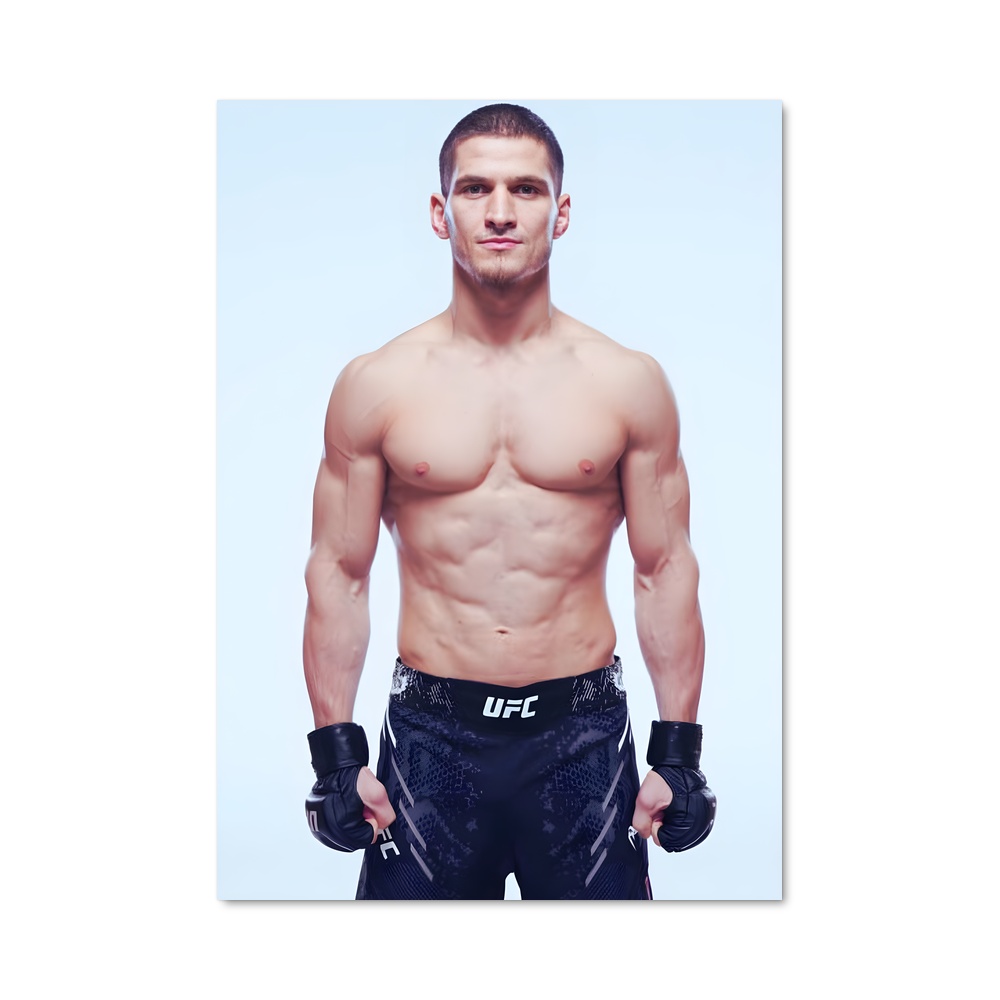 Poster Fight Night: Movsar vs. Rivaux